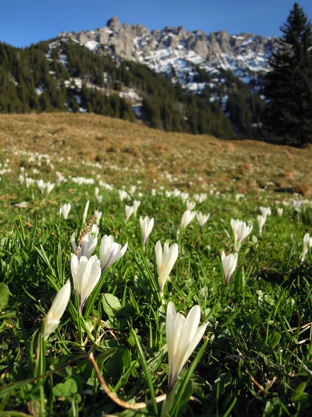 Gafadura 1428m 06_04_2011 (62).jpg